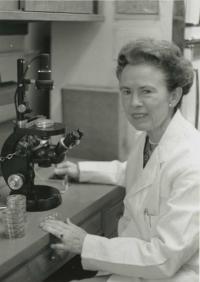 Black and white photo of Hattie E. Alexander, MD, sitting at a microscope.